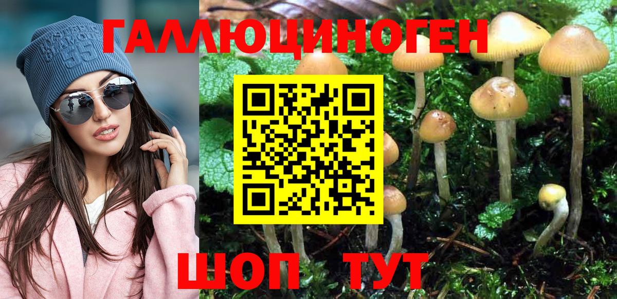 Псилоцибиновые грибы Magic Shrooms  Вход с VPN  Северск  Псилоцибиновые грибы GOLDEN TEACHER 